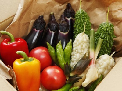 有機野菜通販サイトの通販時商品同梱
